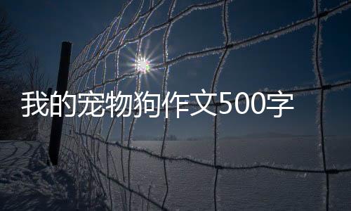 【】目前有超过300种品种的宠物狗