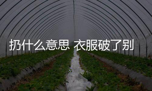 【】用放字则无这个表达效果了