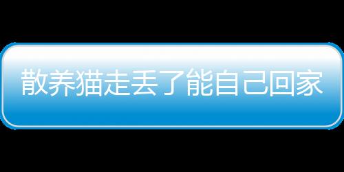 【】这种丰富而敏锐的直觉