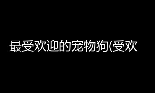 【】狗狗可以学会许多技巧和行为