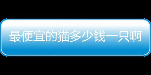 【】价格也因此有所差异