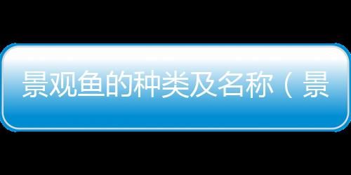 【】它们具有多样的体色和体型