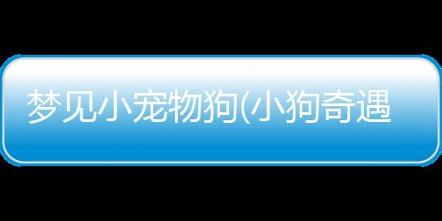 【】它被捕获并被转移到加拿大