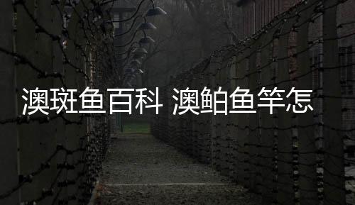 【】靠捕捉其他鱼类为食