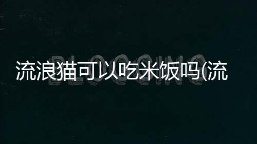 【】一、吃米吃米营养毫无疑问