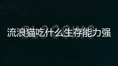 【】即使变成流浪猫也不例外