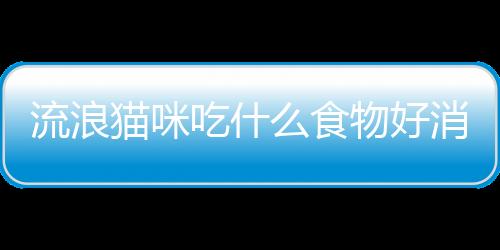 【】为了更好地保护这些小生命