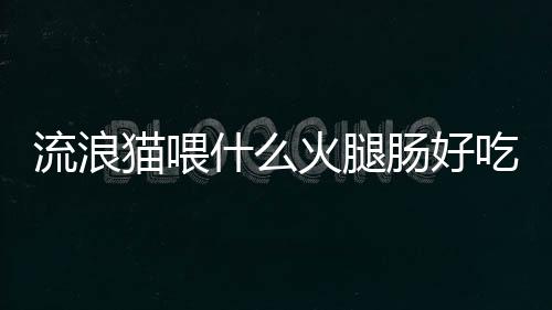 【】火腿肠可以方便地切成小片