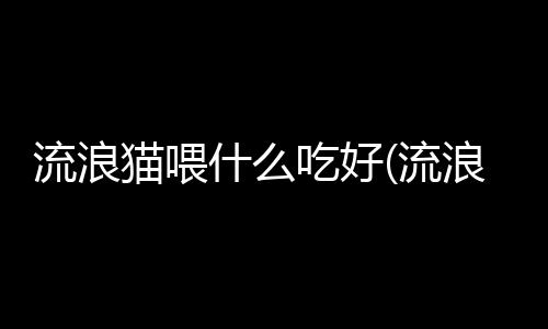 【】对于猫的流浪流浪肉类需求