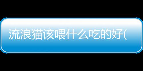 【】碳水化合物的摄入量需要适度