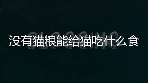 【】结论部分总结了本文内容