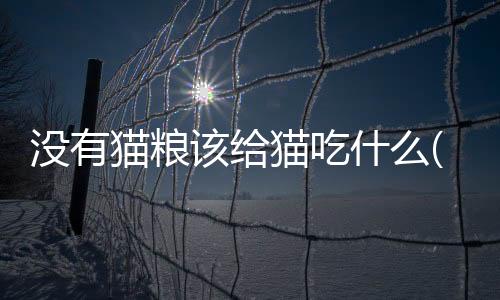 【】摘要： 当你没有猫粮时