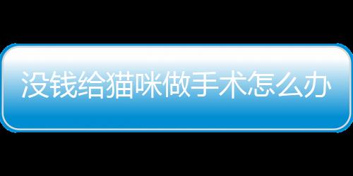 【】越来越多的手术人开始养宠物