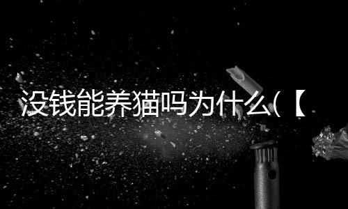 【】越来越多的什养人开始养猫