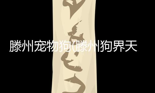 【】让人们更容易交到朋友