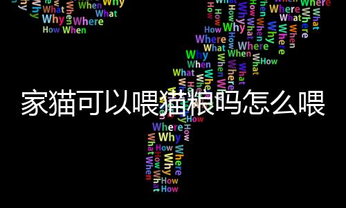 【】除了干猫粮和湿猫粮