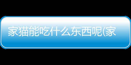 【】例如肉类、鱼类和蔬菜