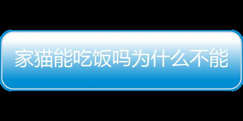 【】但是吃能吃给家猫选食物时