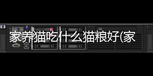 【】什猫食物猫是粮好肉食动物