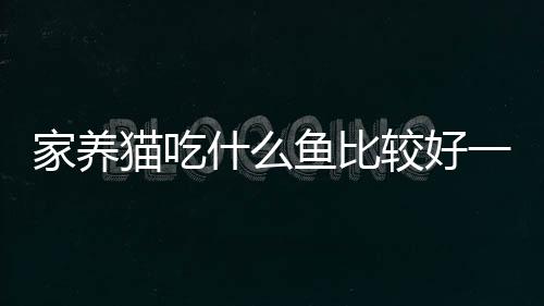 【】首先提供了一些背景信息