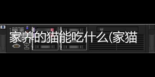 【】家养这是吃南一份详细的指南