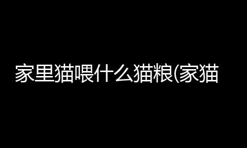 【】对猫咪的优质健康更有利