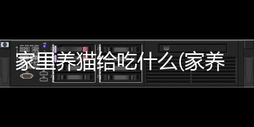 【】3、不要经常给猫咪吃零食