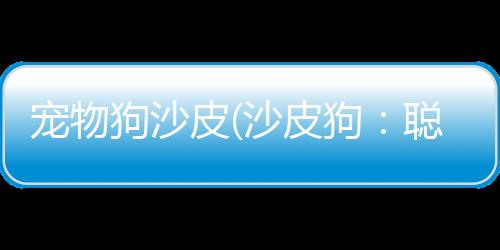 【】读者可以更好地了解沙皮狗