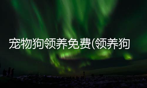 【】本文将针对领养狗狗这一话题