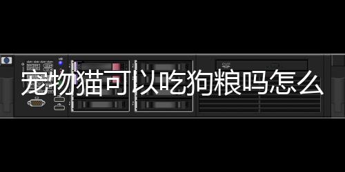 【】在猫咪和狗狗的物猫食品方面