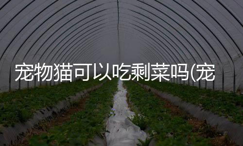 【】包括把剩菜留给它们食用