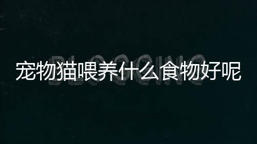 【】对宠物喂养也越来越重视