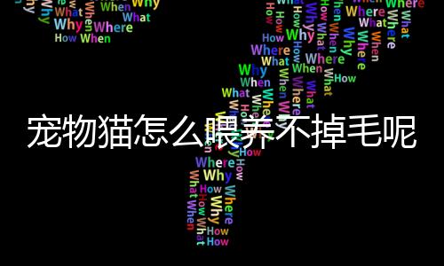 【】掉毛成为了许多人的养技首选