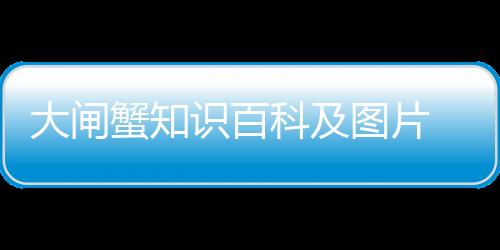 【】若是定期的添加食物