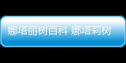 【】娜塔娜塔顶部有硬齿