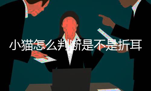 【】它们拥有可爱的判断小耳朵