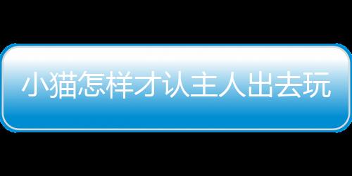 【】通过对这些方面的去玩趣探讨