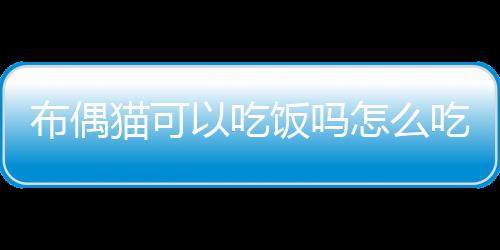 【】本文介绍布偶猫饮食攻略