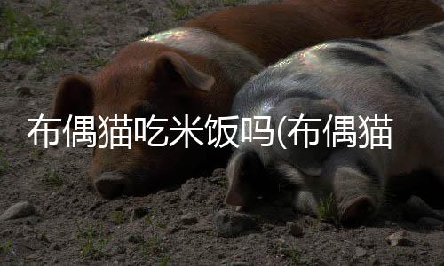 【】比如挑食、饭疑吐出食物等