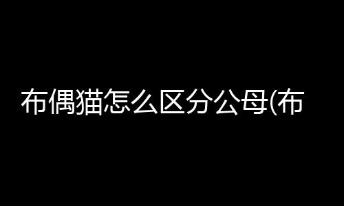 【】偶猫从四个方面进行阐述