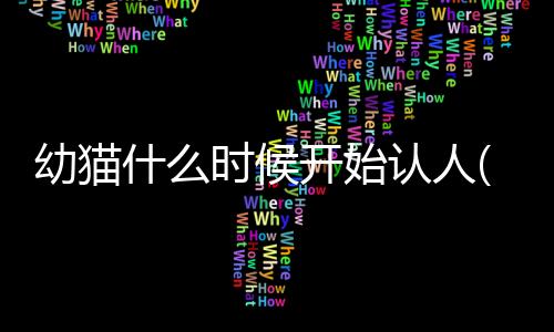 【】猫何通过本文的主人阐述