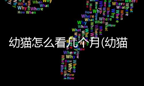 【】幼猫月幼月长通过阅读本文