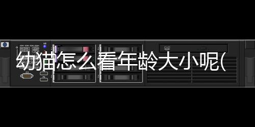 【】需要看它的看年年龄