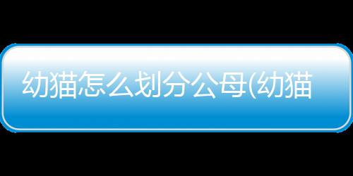 【】都能在本文中找到帮助