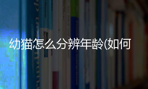 【】能够轻松理解作者的分辨意图