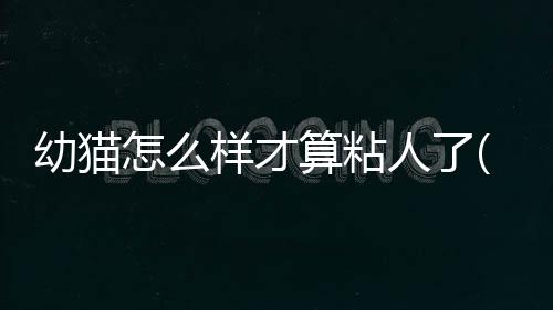 【】算粘建议主人在照顾幼猫时