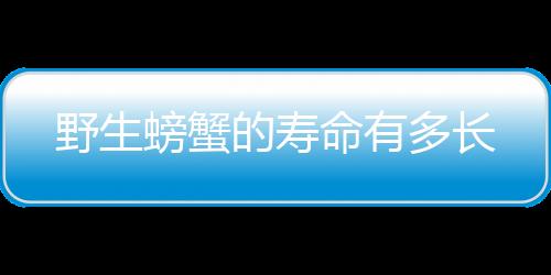 【】螃蟹的寿命为22个月