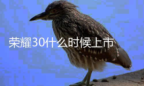 【】5、年4月21日全网正式开售