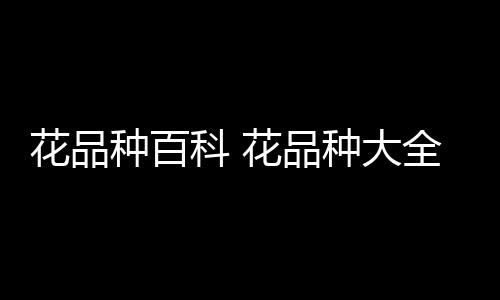 【】2、仙人掌类这类花卉