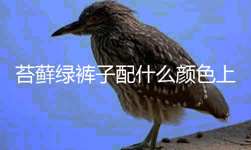 【】绿裤苔藓绿可以搭配墨绿颜色